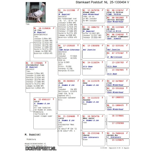 DMP Bon 148 Bram Bugasjki - Middelburg - 2/2 kras duivin