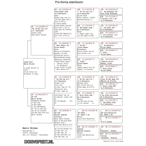 1703 Bon 15 Mario Wijnen Panningen 2 jonge duiven 2026 zie stamkaart