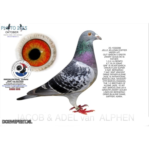 DMP Bon 150 Jacob van Alphen Kweekcentrum - jong 2025