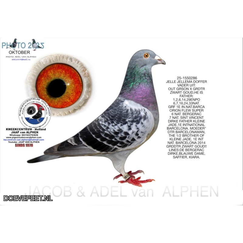 DMP Bon 150 Jacob van Alphen Kweekcentrum - jong 2025