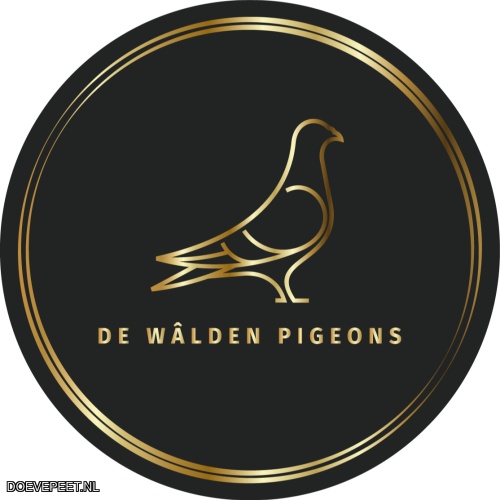 DMP Bon 162 Walden Pigeons - Twijzelerheide- jonge duif 2026
