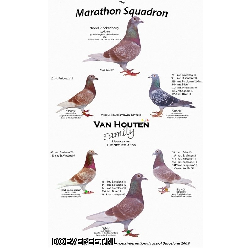 KC Bon 1: Wim van Houten, IJsselstein Koppel jongen 2026