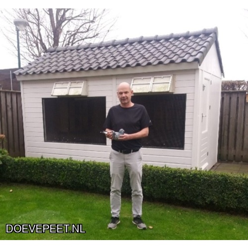 KC Bon 2: Peter Ruijten, IJsselstein Jonge duif 2026