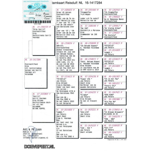 NL16-1417284 kleinzoon Gouden koppel