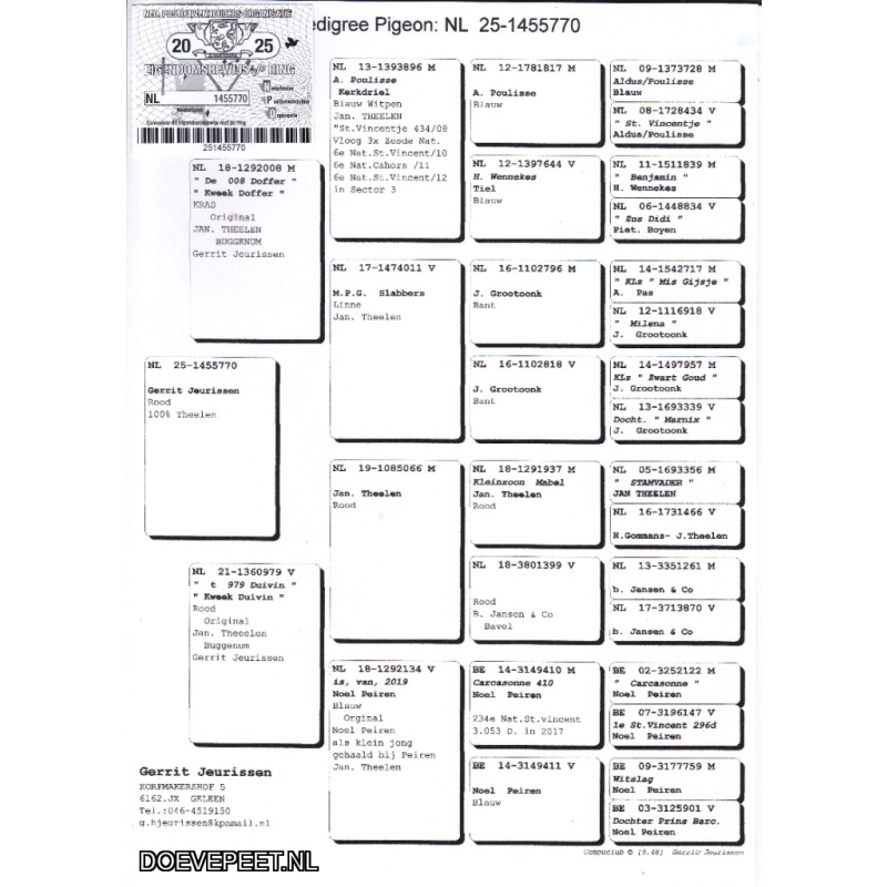 GJ Koop 20 1455770-25 Duivin