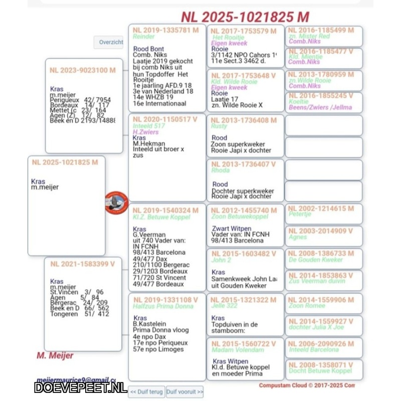 0655 Bon 21 Maurice Meijer Glanerbrug duif 25-1021825