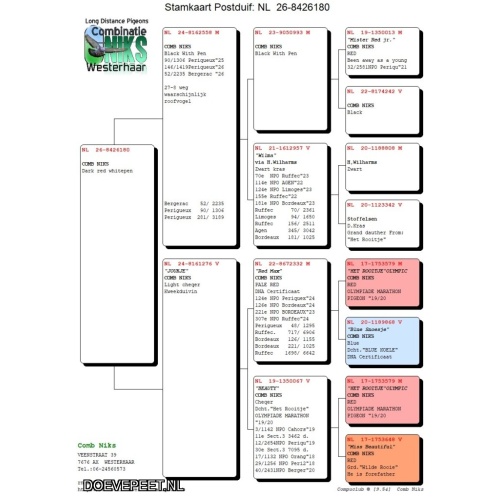 DMP Bon 26 Comb Niks – Westerhaar – Laat jong 2026