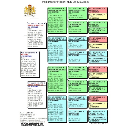 DMP Bon 28	Henny Janssen – Arnhem – doffer 2020 Heremans 1/2