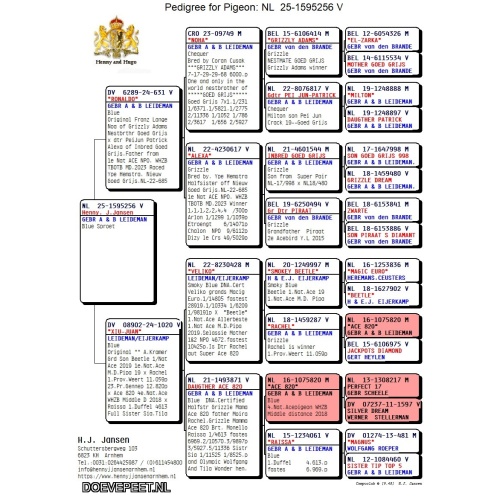 DMP Bon 29 Henny Janssen – Arnhem -  duivin 2025 Leideman/Eijerkamp 2/2