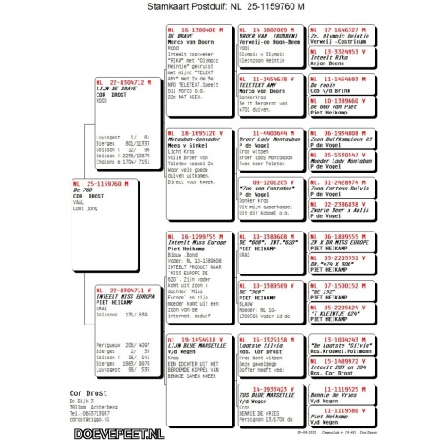 DMP Bon 2        Cor Drost - Achterbergen -  Een laat jong 2025