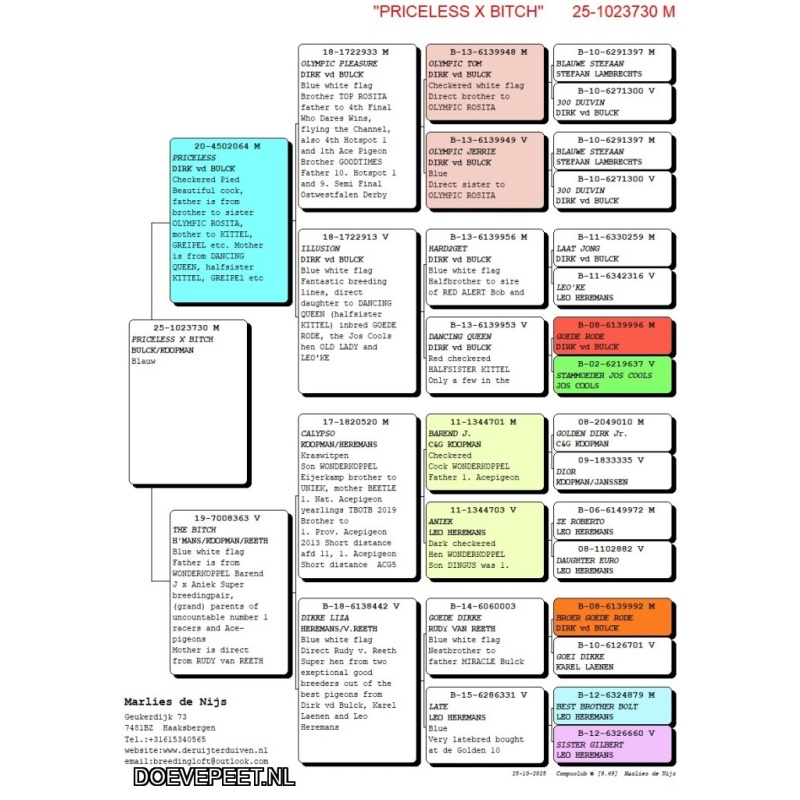 NG LOT 2 uit superkoppel PRICELESS x THE BITCH