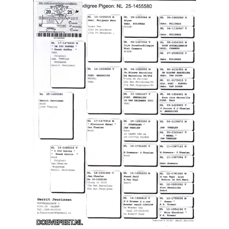 GJ Koop 3 1455581-25 Duivin