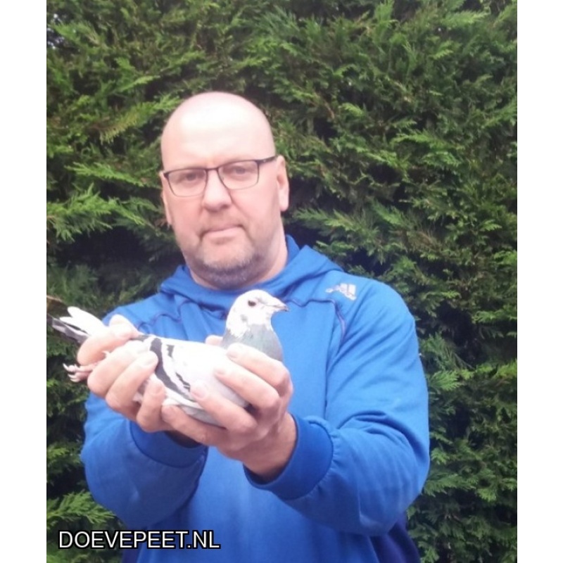 KC Bon 3: Martien van Houten, IJsselstein Jonge duif 2026