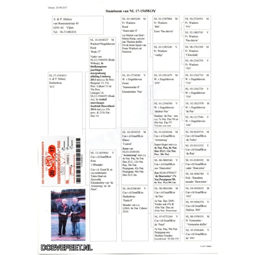 GH Koop 3 NL17-1545813 Duivin.