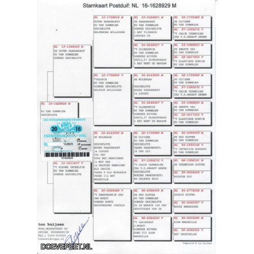NL16-1628929 Ko van Dommelen