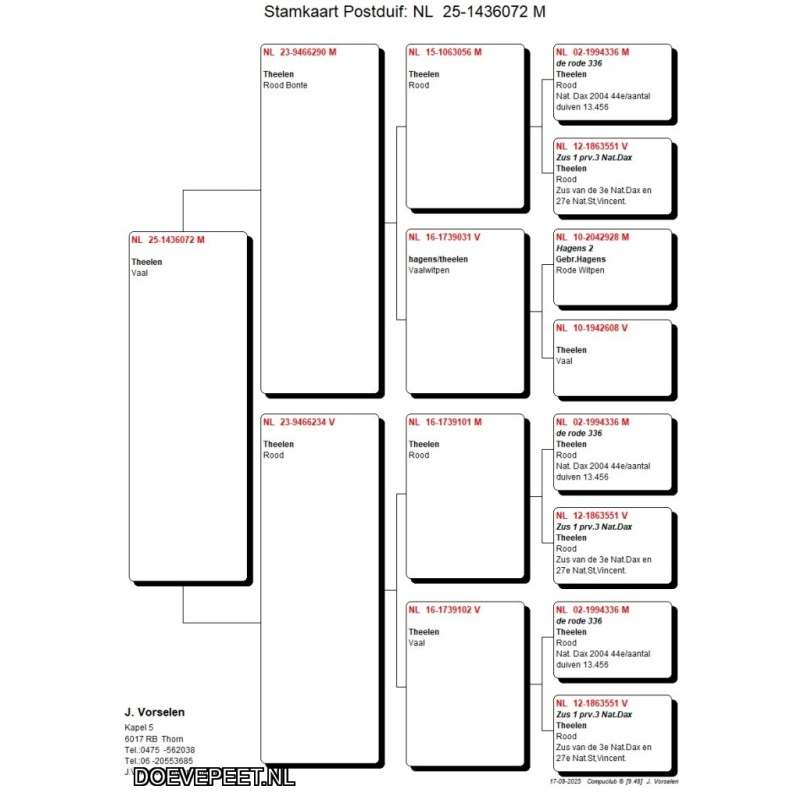 DMP Bon 3 Jan Vorselen - Thorn - laat jong 2025 (vaal)