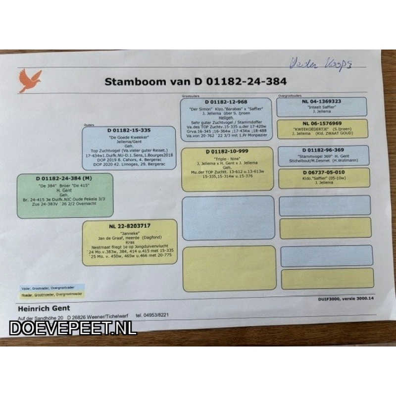 0137 Koop 3: Heinrich Gent uit Tichelwarf schenkt  nog een jong Laatjong 2026.