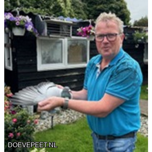 1020 Bon 04:  Nico Konijn Alkmaar Jonge duif 2026