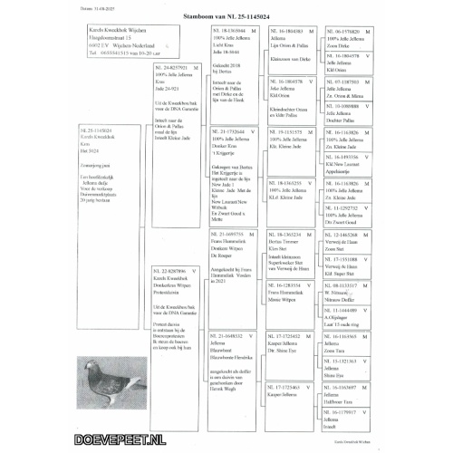 DMP Bon 4	Karel’s Kweekhok – Wijchen 1/2