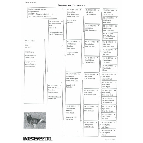DMP Bon 5 Karel’s Kweekhok – Wijchen 2/2	zie bon 3