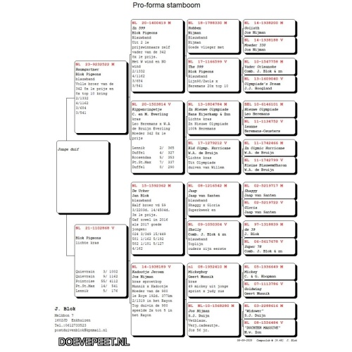 DMP Bon 47 Jeroen Blok – Enkhuizen – uitzoeken op het kweekhok