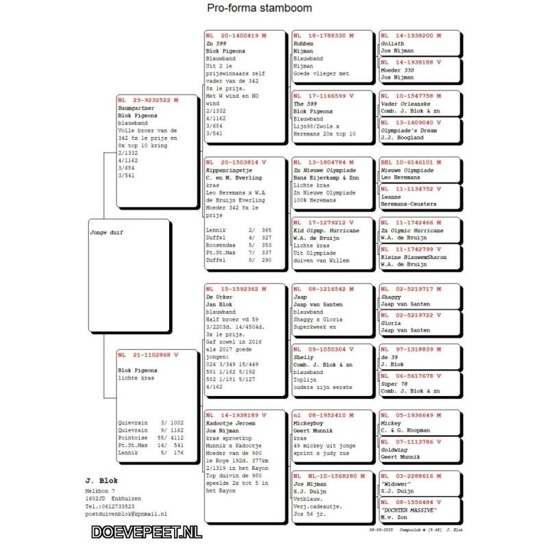 DMP Bon 47 Jeroen Blok – Enkhuizen – uitzoeken op het kweekhok