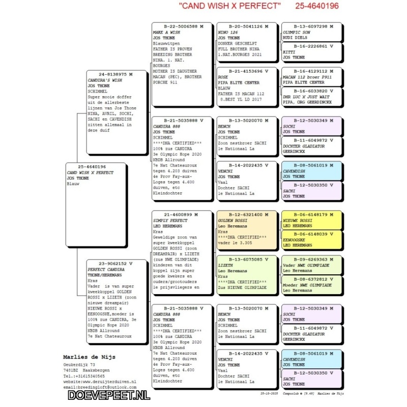 NG LOT 4 INTEELT CANDIRA JOS THONE