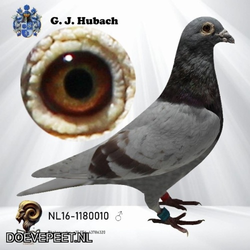 GH Koop 4 NL2016-1180010 Doffer