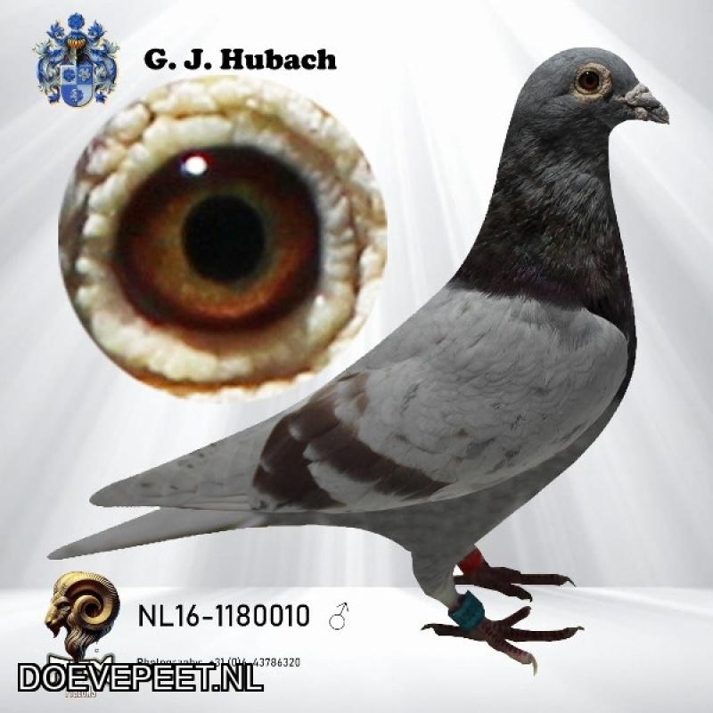 GH Koop 4 NL2016-1180010 Doffer