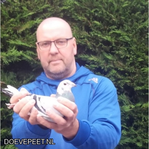 1020 Bon 05: Martien van Houten, IJsselstein  Jonge duif 2026