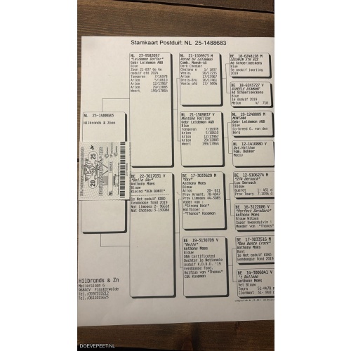0642 Koop 6  Comb.Hilbrands Filsterwolde