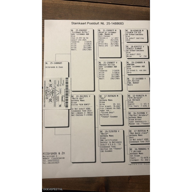 0642 Koop 6  Comb.Hilbrands Filsterwolde