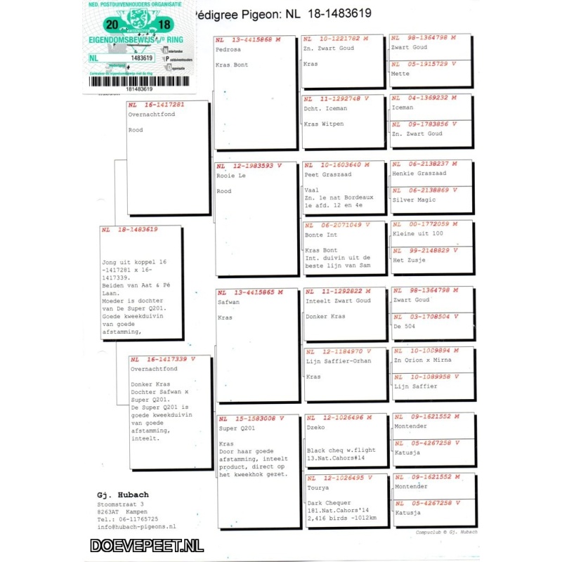 GH Koop 6 NL2018-1483619 Duivin