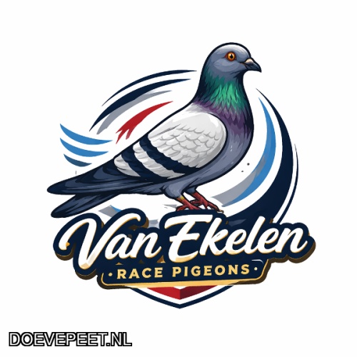 DMP Bon 67 Nick van Ekelen – Loosdrecht
