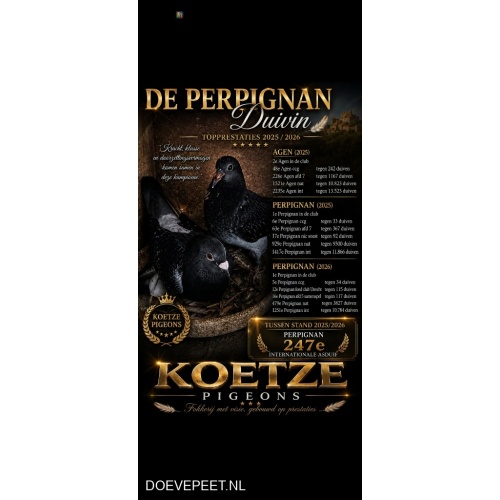 DMP Bon 68 Jonny Koetze – Utrecht – jonge duif io uit het kweekhok
