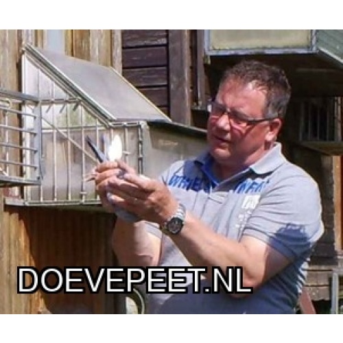 KC: Bon 7: Coos (en Kris) van Houten IJsselstein Koppel jongen of 2 koppels eieren 2027