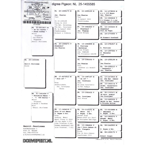 GJ Koop 7 1455585-25 Duivin