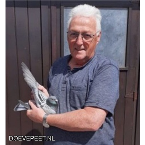 1020 Bon 07:  Remy Rouw, Volendam Jonge duif 2026