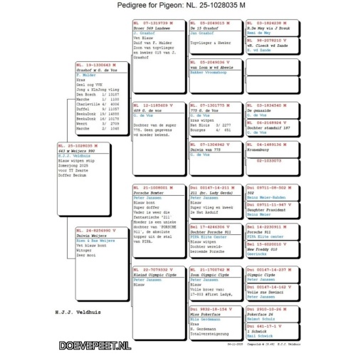 0655 Bon 7 Herbert Veldhuis Beckum 1 jonge duif van 2025