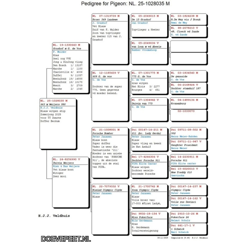 0655 Bon 7 Herbert Veldhuis Beckum 1 jonge duif van 2025