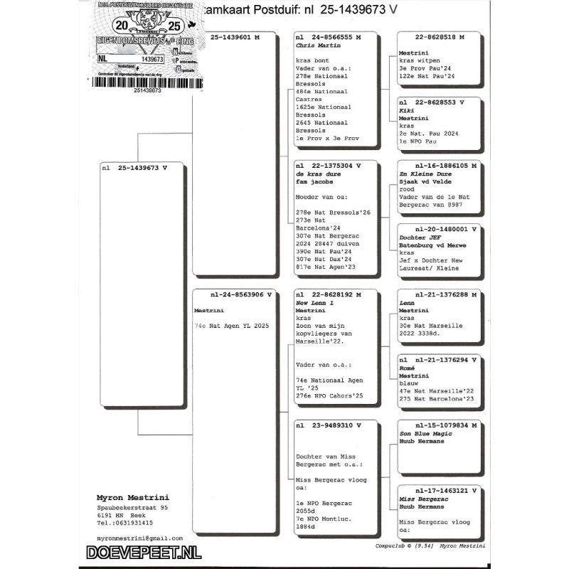 DMP Bon 71 Myron Mestrini – Beek – duif 2025