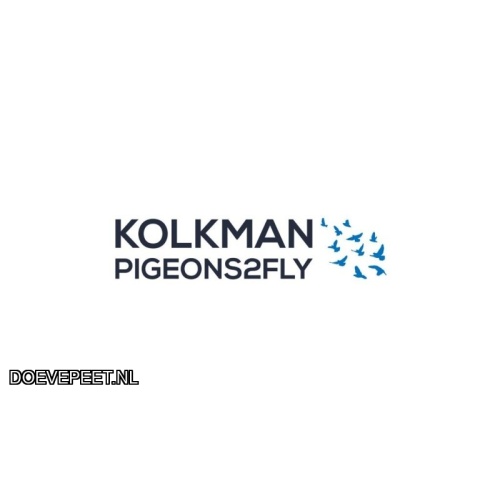DMP Bon 75 Kolkman Pigeons2Fly – Oosterwolde – jong 2026 of jong 2027
