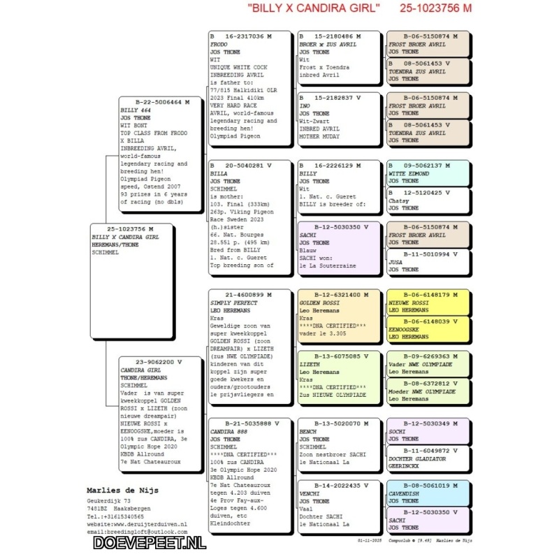 NG LOT 7 INTEELT AVRIL X CANDIRA JOS THONE