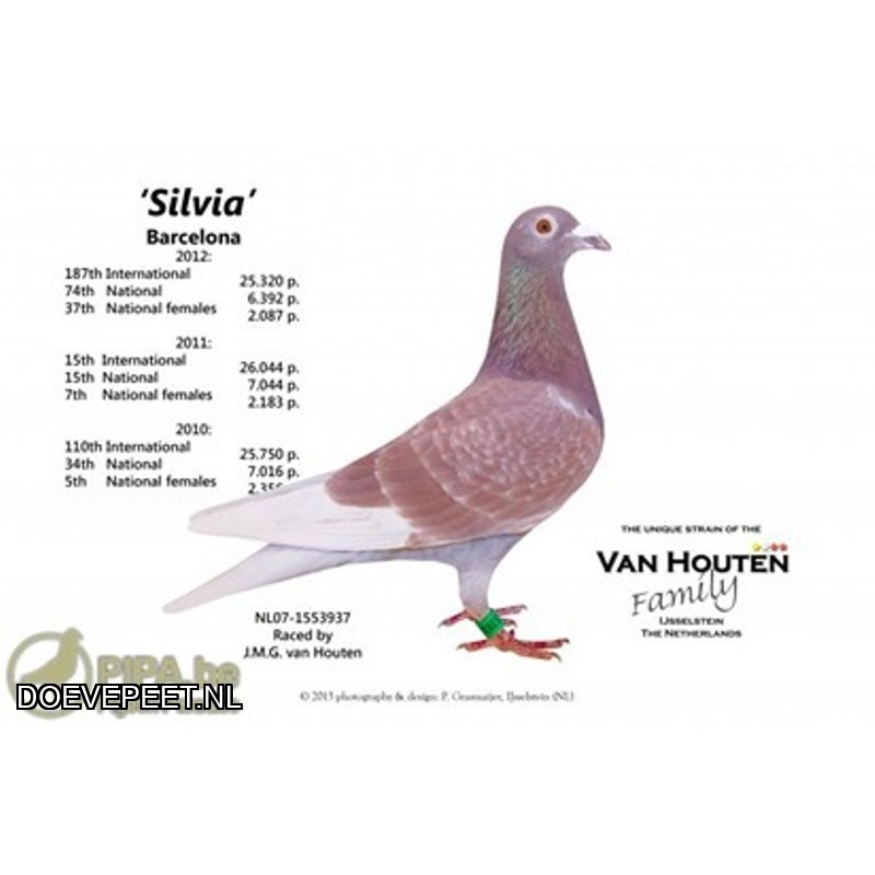 KC Bon 7: Coos van Houten, IJsselstein Jonge duif 2026