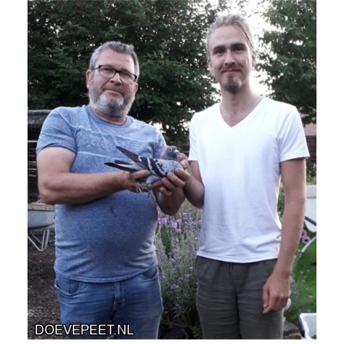 KC Bon 8: Wessel van den Engel, IJsselstein Jonge duif 2025