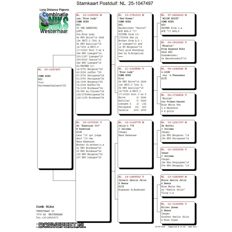 DMP Bon 86 Combinatie Niks – Westerhaar – Jong 2025