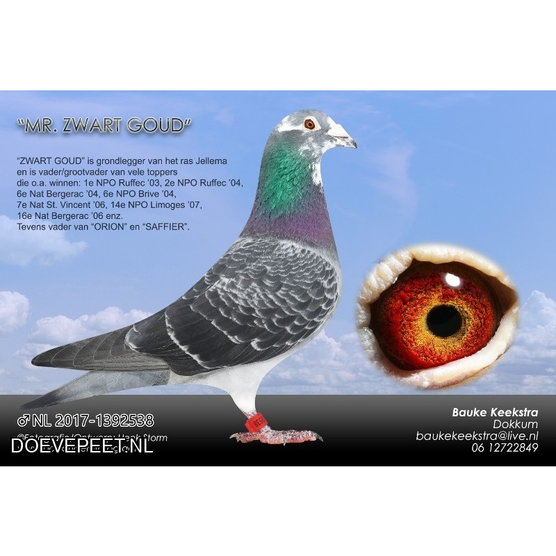DMP Bon 88 Bauke Keekstra – Dokkum –  jong 2027