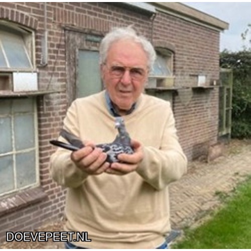 1020 Bon 09:  Henk Wegh, Lochem Jonge duif 2026