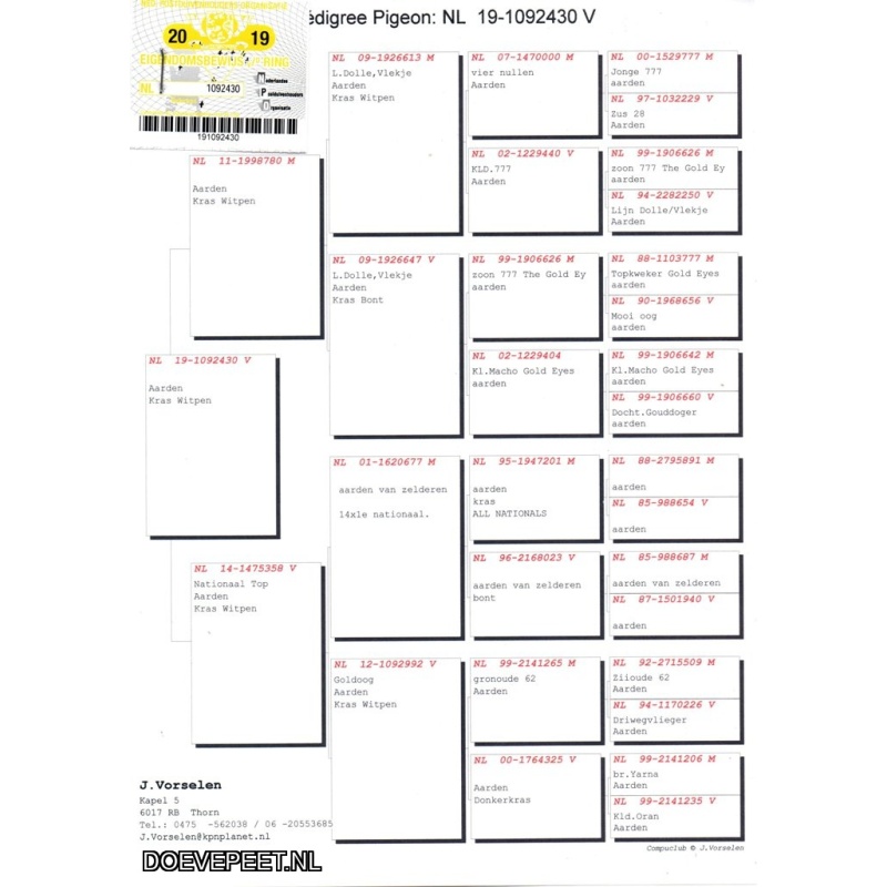 GH Koop 9 NL2019-1092430 Duivin