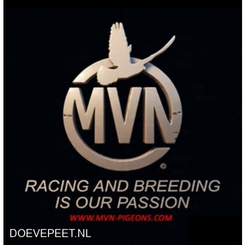 DMP Bon 93 Marc van Nunen (D) – Geldern